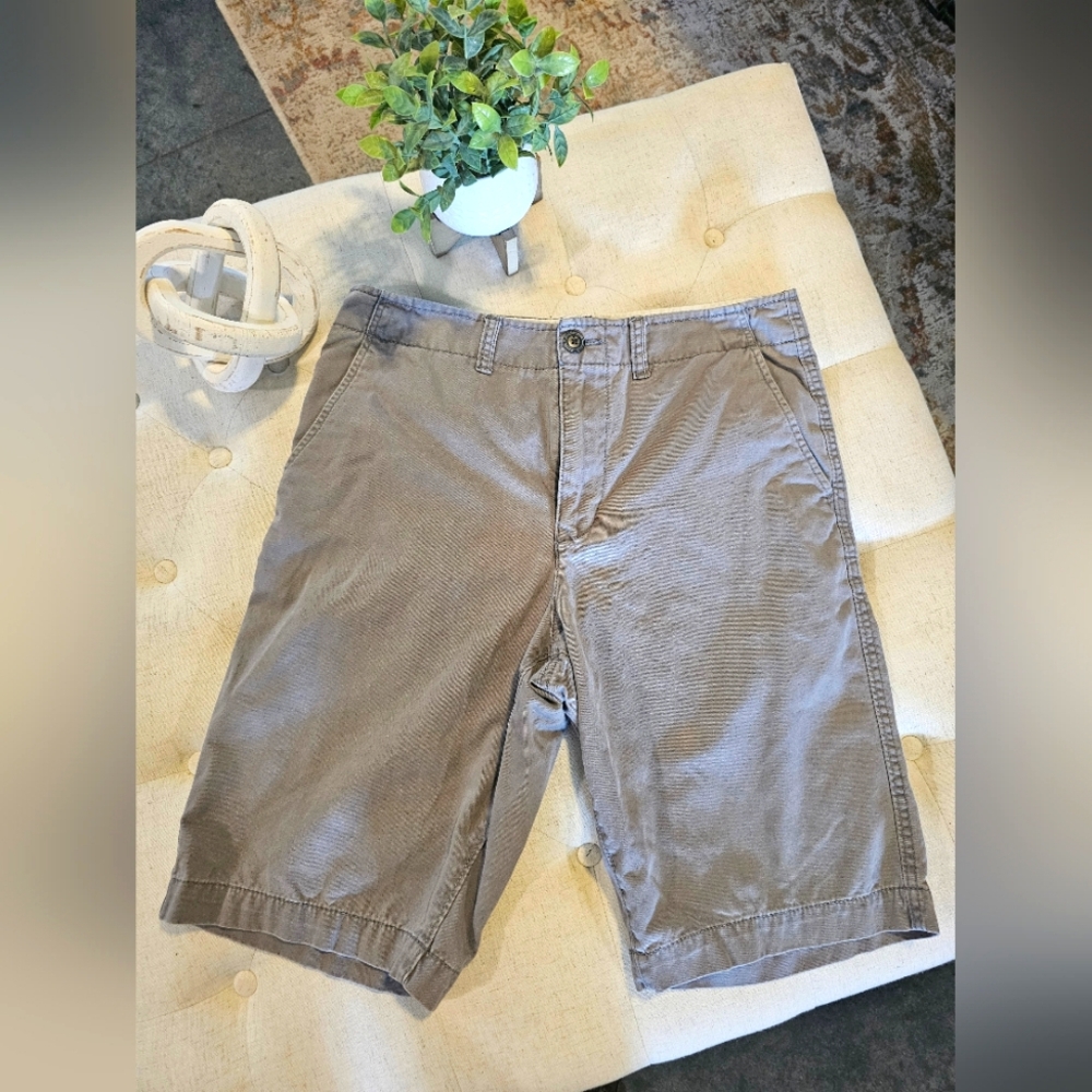 Men's AE 31" shorts